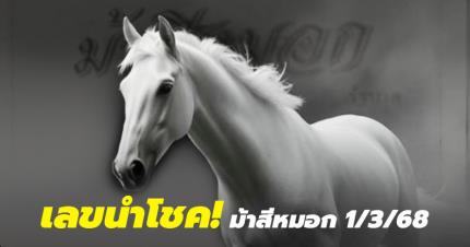 เลขเด็ดม้าสีหมอก หวยงวด 1/3/68 แนวทางเลขนำโชค งวดนี้ 4 กับ 5 มาแรง