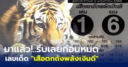 มาแล้ว!..รีบเลยก่อนหมด เลขเด็ด "เสือตกถังพลังเงินดี"