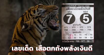 เลขเด็ด เสือตกถังพลังเงินดี 1 มิ.ย. 68 เบอร์พยัคฆ์เหนี่ยวทรัพย์ เบิ้ลควรระวัง